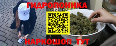 соль ск Лесосибирск